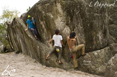 "Orange Circuit" (15)